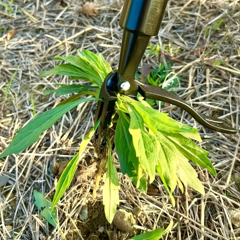 Weeder in Strong Metal – Ergonomic and Easy Weeding